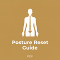 Posture Reset Guide PDF